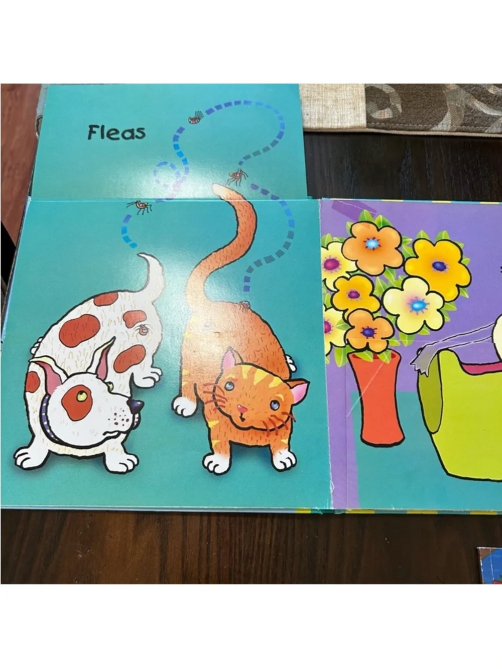 Colorful Animals Reptile Bugs Insects Amazon Rainforest young Readers books (5)